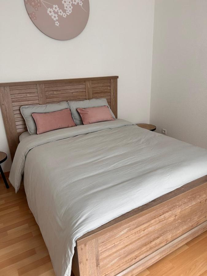 Appartement 1 Chambre Rue Faubourg De Besancon มงเบลียาร์ ภายนอก รูปภาพ